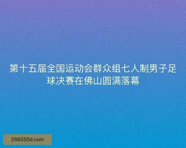 第十五届全国运动会群众组七人制男子足球决赛在佛山圆满落幕